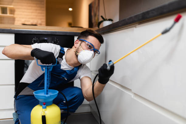 Best Pest Prevention Services  in Stearns, KY