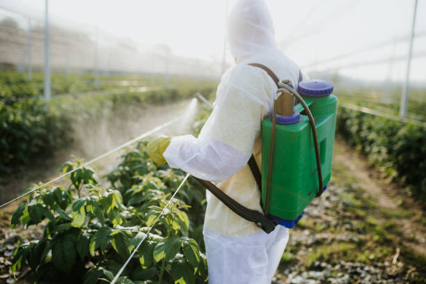 Professional Pest Control in Stearns, KY